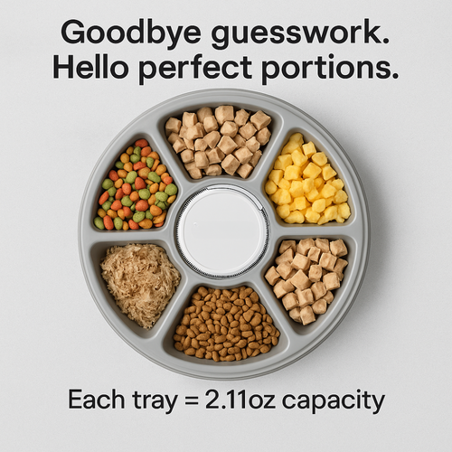 FurFeast - Timed Pet Feeder